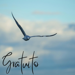 Plano Gratuito